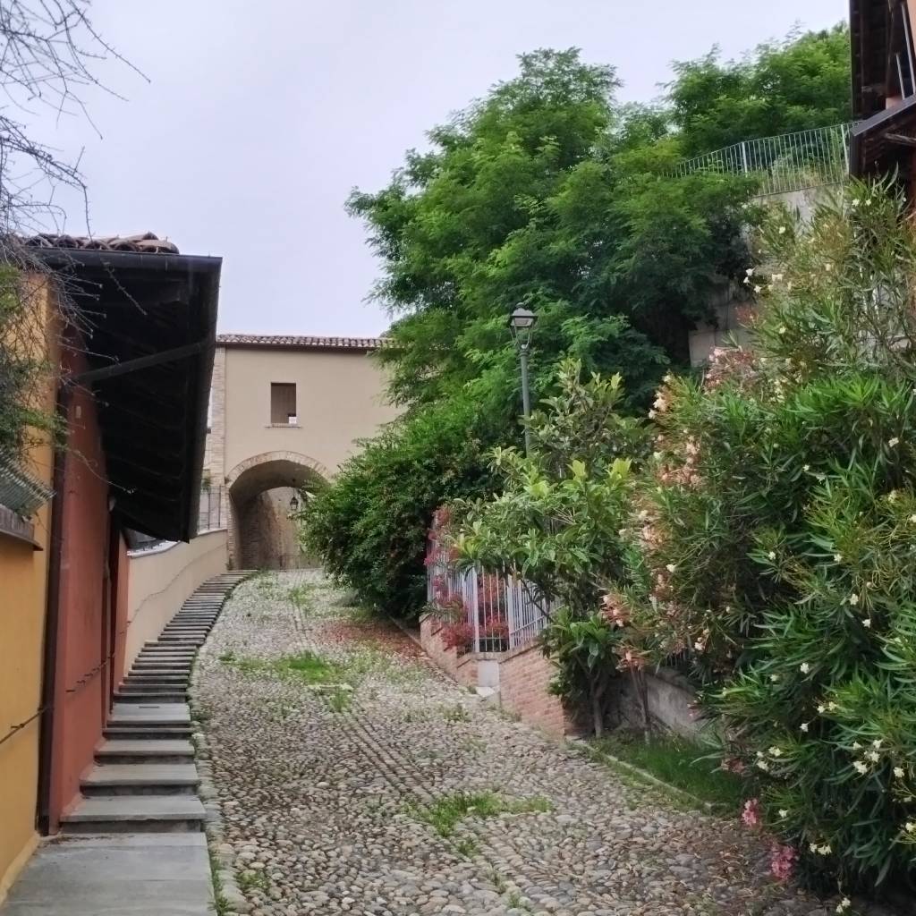 Salita verso Palazzo Gromo Cocconato